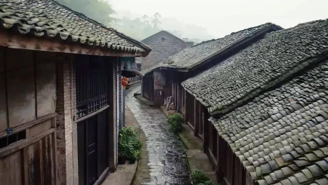 全民烧脑3去广告版